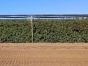 Chalet en venta en Castelldans, Castelldans