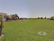 Chalet en venta en Catral. Chalets.