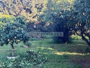 Chalet en venta en Chiclana de la Frontera