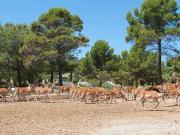 Chalet en venta en Cistella, Girona