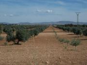 Chalet en venta en Ciudad Real, Ciudad Real