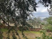 Chalet en venta en Ciudad Real, La Poblechuela. Chalets...