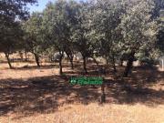 Chalet en venta en Ciudad Rodrigo, Ciudad Rodrigo