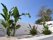 Chalet en venta en Conil de la Frontera, Conil. Villa...