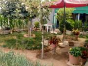 Chalet en venta en Consuegra