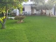 Chalet en venta en Córdoba, Alcolea. en Córdoba. Chalets.
