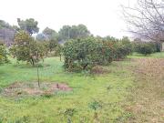 Chalet en venta en Córdoba, El Higuerón. Vendo Chalet....