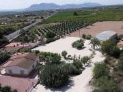 Chalet en venta en Crevillente