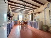 Chalet en venta en Crevillente. FINCA CON ENCANTO EN...