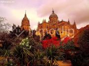 Chalet en Venta en Doñinos de Salamanca, Salamanca