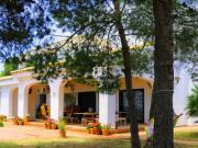 Chalet en venta en Elche / Elx, Alicante