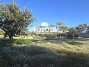 Chalet en venta en Elche Elx, La Algoda Matola Llano de...