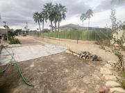 Chalet en venta en Elche Elx, La Algoda Matola Llano de...