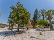 Chalet en venta en Elche Elx, La Algoda Matola Llano de...