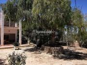 Chalet en venta en Elche Elx, La Marina. Chalet en La...