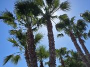 Chalet en venta en Frigiliana. Villa de lujo en venta...