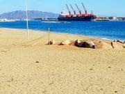 Apartamento en venta en Garrucha, Almería Costa Almería