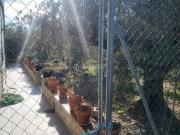 Chalet en venta en Hellín. Amplia Casa Familiar en...