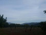 Chalet en venta en Inca, Afueras