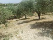 Chalet en venta en Jaén, Las infantas