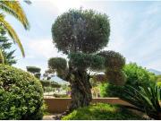 Chalet en Venta en Jalón, Alicante