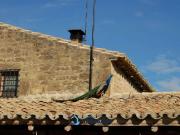 Chalet en venta en La Moraleja, Arroyo de la Vega. FINCA...