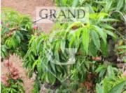 Chalet en Venta en La Tierra del Trigo, Santa Cruz de...