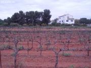 Chalet en Venta en La Torre Monserrat, Valencia