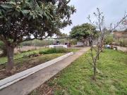 Chalet en Venta en La Torre Monserrat, Valencia