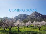 Finca/Casa Rural en venta en L'Aranjassa /...