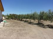 Chalet en venta en Lorca, Aguaderas. CHALET AGUADERAS....