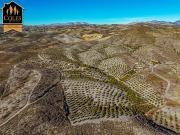 Chalet en venta en Lorca, Murcia