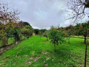 Chalet en venta en Maceda. Chalets.