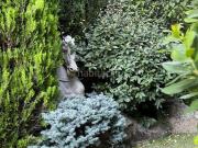 Chalet en venta en Madrid, Aravaca. Precioso chalet con...