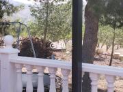 Chalet en venta en Monòver. CHALET INDEPENDIENTE EN...
