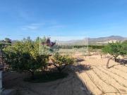 Chalet en venta en Monòver. MonóvarMonòverChalet. Chalets.