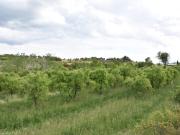 Chalet en venta en Monroyo, Aragon Chalet en venta en Monroyo, Aragon