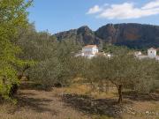 Chalet en venta en Montejaque, Málaga