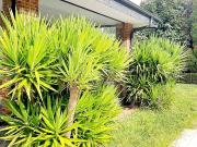 Chalet en venta en Mungia. chalet individual con...