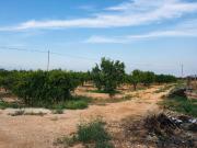 Chalet en venta en Murcia, Albatalia. ESPECTACULAR CASA...