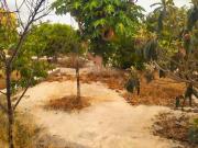 Chalet en venta en Murcia, La Ñora. Casa con parcela...