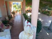 Chalet en venta en Murcia, Rincón de Seca. CHALET EN...