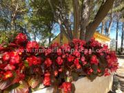 Chalet en venta en Muro de Alcoy. Chalets Muro de.