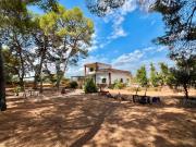 Chalet en venta en Náquera, Corral Nou Montros Estepar....