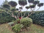 Chalet en venta en Navarrete. ESPECTACULAR CHALET...