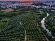 Solar/Parcela en venta en Novelda, Alicante