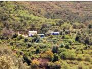 Chalet en venta en Ojén