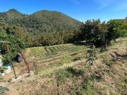 Chalet en venta en Ojén, Ojen