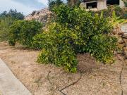 Chalet en venta en Oliva, Oliva Pueblo. NUEVO CHALET EN...