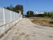 Chalet en venta en Oliva Valencia